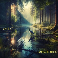 Terra Tones [2024]
