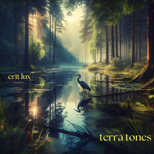 Terra Tones [2024]