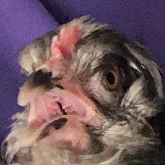 The Warden king smp possible song