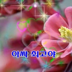 아니패션 anifash 2 (dance 2k19)