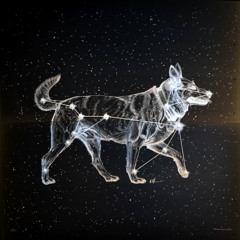 Canis Major Constellation