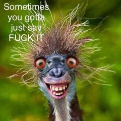 I Love This Bar (Toby Keith)