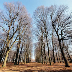 im just a pebble on the ground (prod. $lxwOMG)