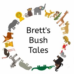 Brett's Bush Tales  - Who Scoops Elephants Poop