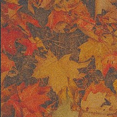FALL