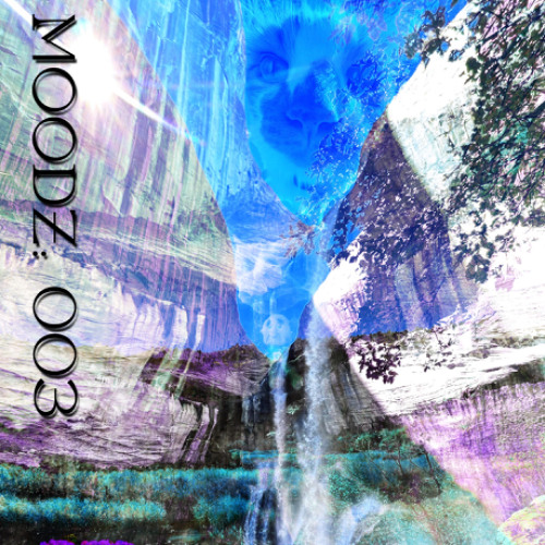 MOODZ 003: sd boi lft fld