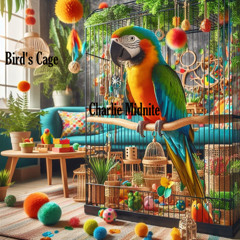 Bird's Cage