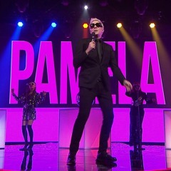 S.P. - Pamela (ED Mash Mix)