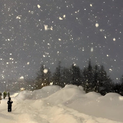 冬が来て、君が消えて