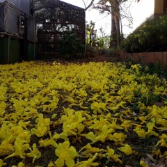 10.03.2022 - Cap. X - Bem Aventurados os Misericordiosos - O Sacrifício Mais Agradável a Deus (7)