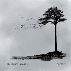 Perdiendo Amores