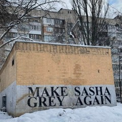 Sasha Grey quits her job