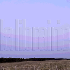 la librairie (ghowste)