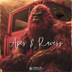 Apes & Ravens