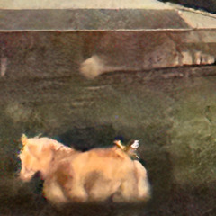 Currency Changed (EQUITY) (Demo Instrumental)