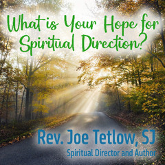 What is Your Hope for Spiritual Direction? #6 (Rev. Joe Tetlow, SJ)
