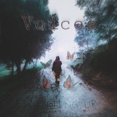 VOICES - (FT. Chief)