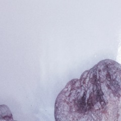 John Williams - A window to the past