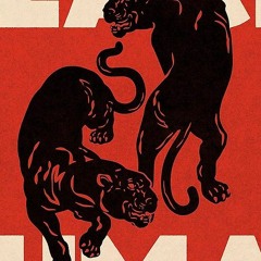 Fire - Black Pumas (Cover)