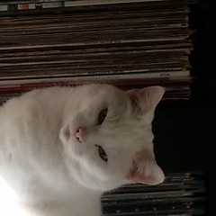 a storm is brewing 1