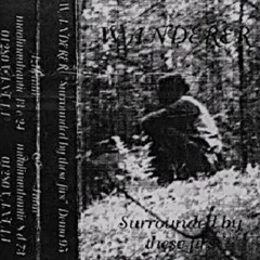 Wanderer : Surrounded by These Firs (Full Split EP) - [Raw Black Metal]