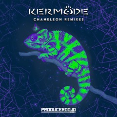 Kermode - Paladin (Sam Winter Remix)