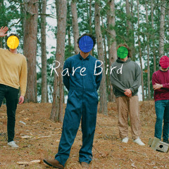 Rare Bird