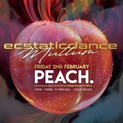 Peach Jooce ~ Ecstatic Dance Byron Bass ~ Feb 2024
