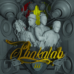 Quannu accumencia lu party