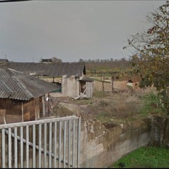Picture(demo)