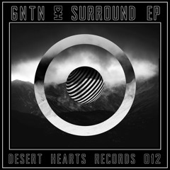 GNTN - Surround (Luke Alessi Remix)