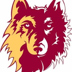 AUDIO HIGHLIGHTS (FB) - Northern State 28 Wayne State 26