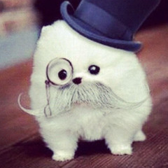 TOLSTIY_SVIN(more beats in my telegram channel)