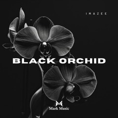 Imazee - Black Orchid