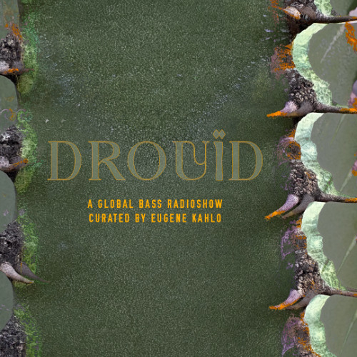 Drouïd S2E8