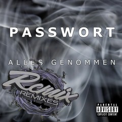 Passwort - Alles Genommen (REMIX)