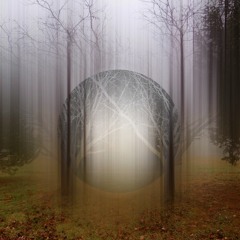 Fateless Flows Playlist - Music to Calm All Stress And Crisis