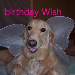 birthday wish