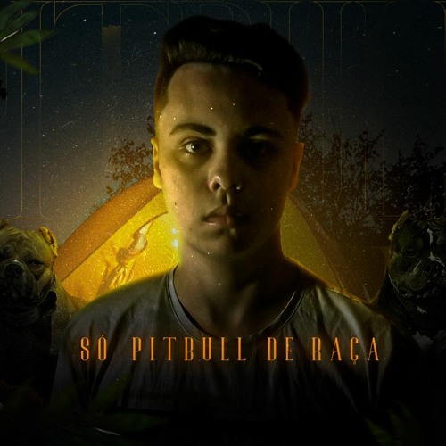 MEGA FUNK SÓ PITBULL DE RAÇA - JUAN CARLOS
