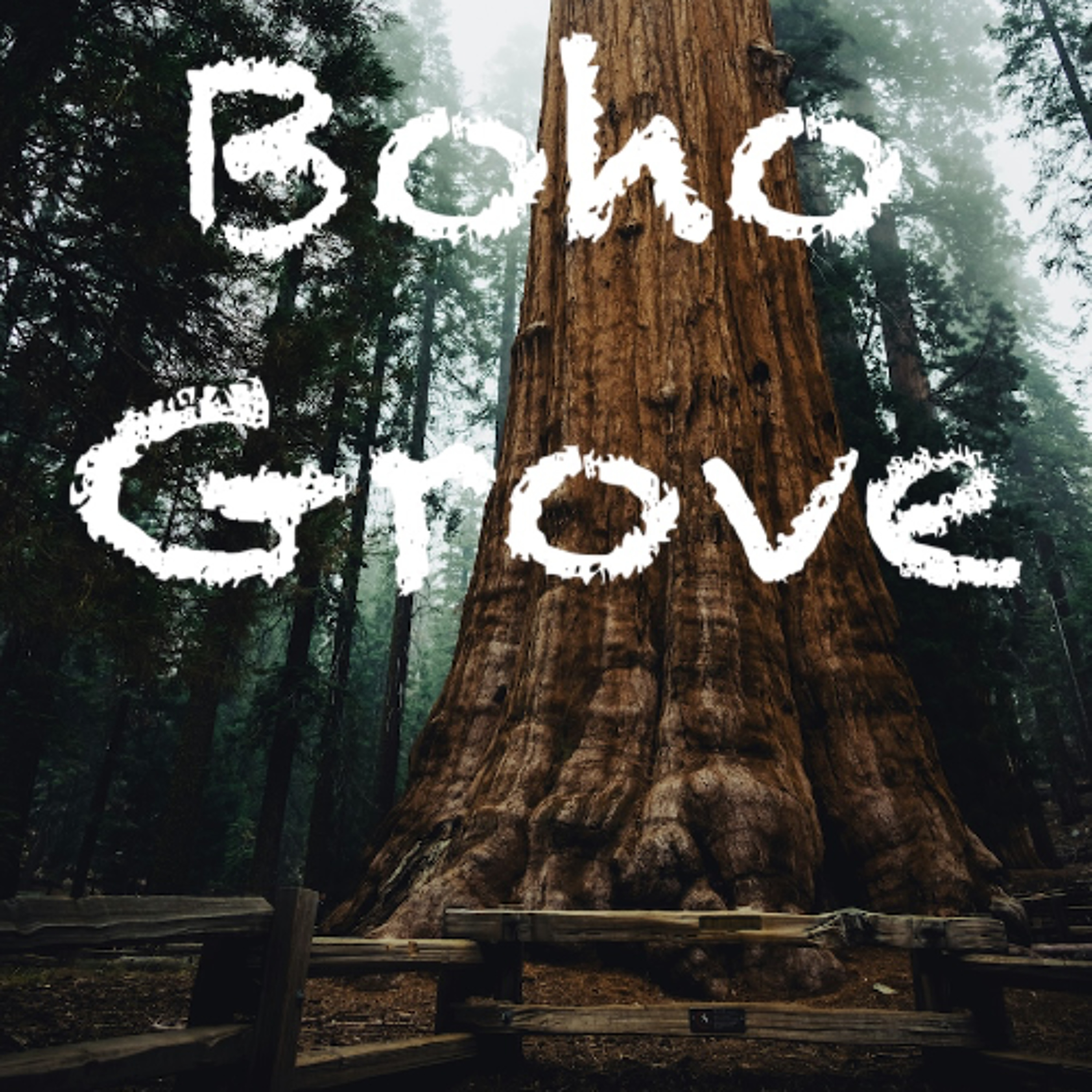Boho Grove episode artwork
