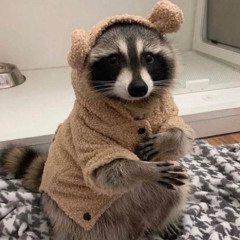Your Sweater Looks Bored :( Prod. peril