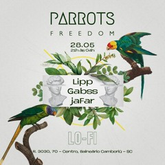Lipp Warm Up Parrots @Lo-Fi 28.05.2022