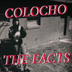 The Facts (Prod. Milioo)