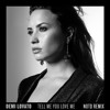 Tell Me You Love Me Notd Remix Mp3