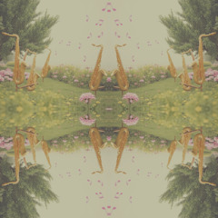 Seasons in Motion