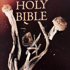 Eternal Light ft Ray Burnz (Chronixx cover)