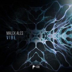 Malek Ales - Vibe (Original Mix) PLZMA 086