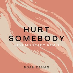 Noah Kahan - Hurt Somebody (Levi McCrady Remix)