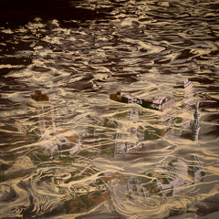 Shalo El Shagar - شالوا الشجر