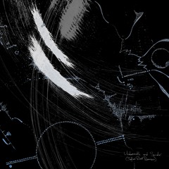 Sonder III (Safari Riot Remix)